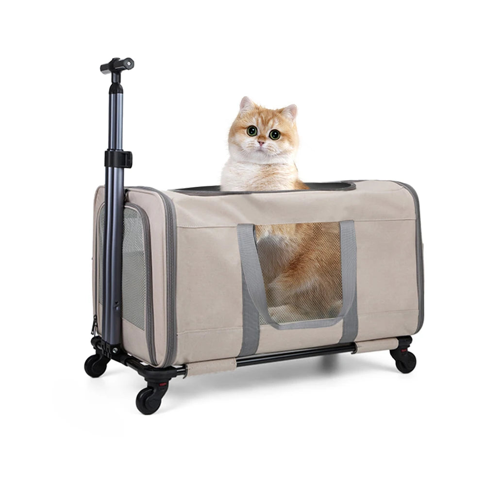 Travel confidently with your two feline companions in a sturdy, wheeled cat trolley built for long, comfortable journeys.
