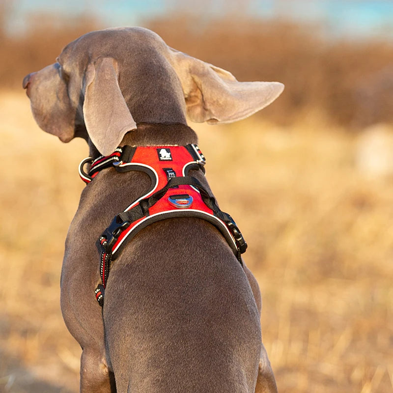 TrueLove CN Reflective Nylon Dog Harness No Pull Adjustable Vehicle Harness