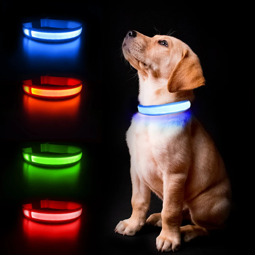 Light up every walk with the MASBRILL Luminous Dog Collar, a waterproof safety collar that keeps your dog highly visible and securely reassured in low light.