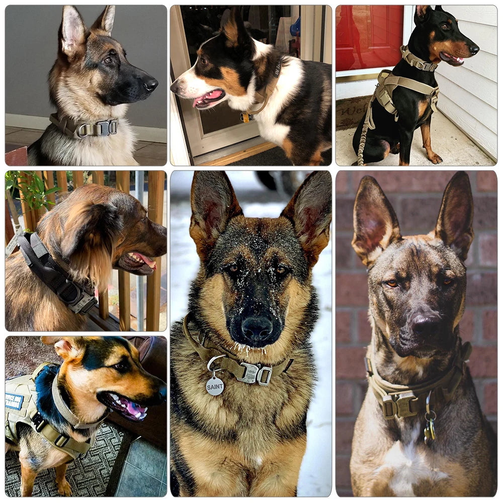 PETRAVELCN Dog Training Collar Set Adjustable Tactical Collar And Leash