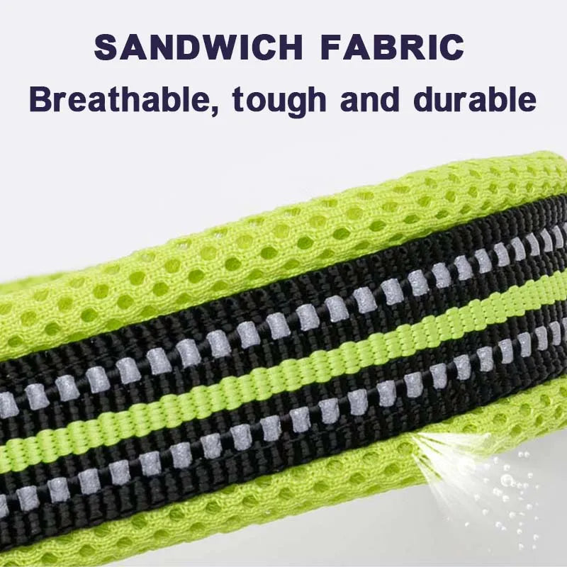 Discover everyday comfort, reliable control, and worry-free adventures with the padded nylon dog collar built to endure active canine lifestyles.