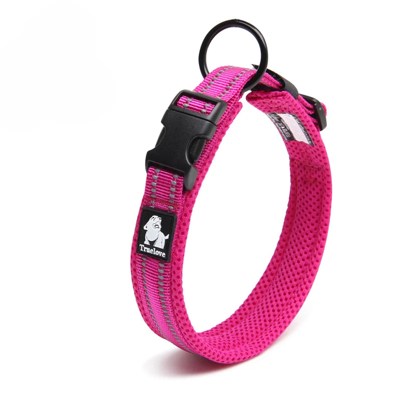 Discover everyday comfort, reliable control, and worry-free adventures with the padded nylon dog collar built to endure active canine lifestyles.