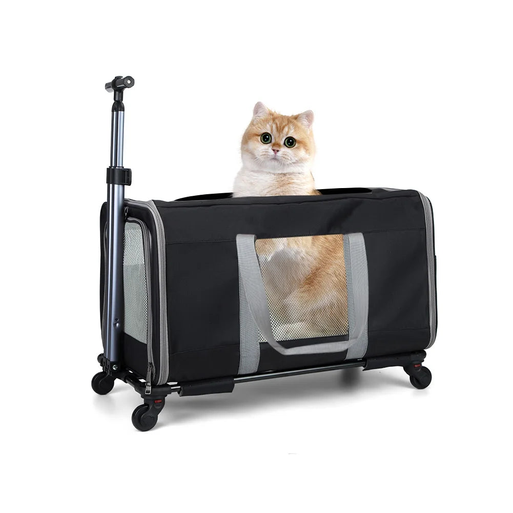 Travel confidently with your two feline companions in a sturdy, wheeled cat trolley built for long, comfortable journeys.