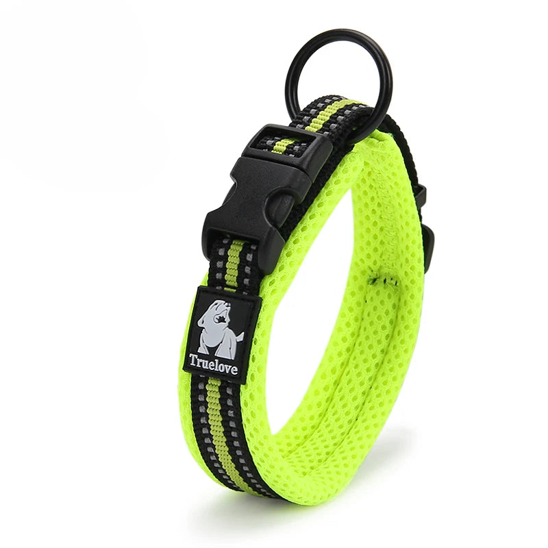 Discover everyday comfort, reliable control, and worry-free adventures with the padded nylon dog collar built to endure active canine lifestyles.