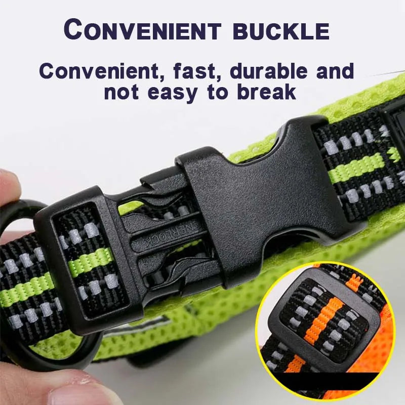 Discover everyday comfort, reliable control, and worry-free adventures with the padded nylon dog collar built to endure active canine lifestyles.