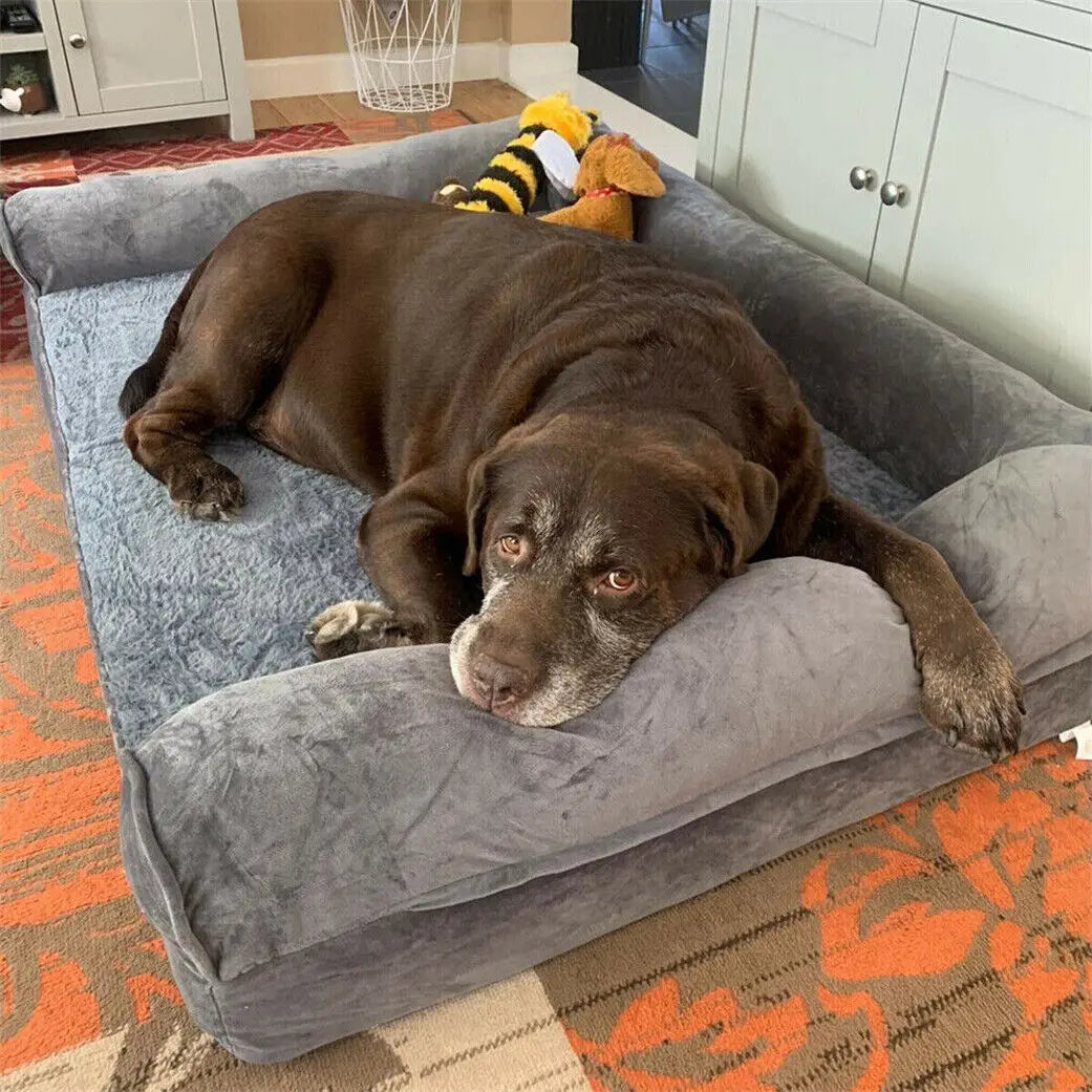 Give your dog veterinary grade comfort with the Bingopawc Extra Large Orthopedic Dog Bed, and you watch him settle in for relaxed, healthier sleep.