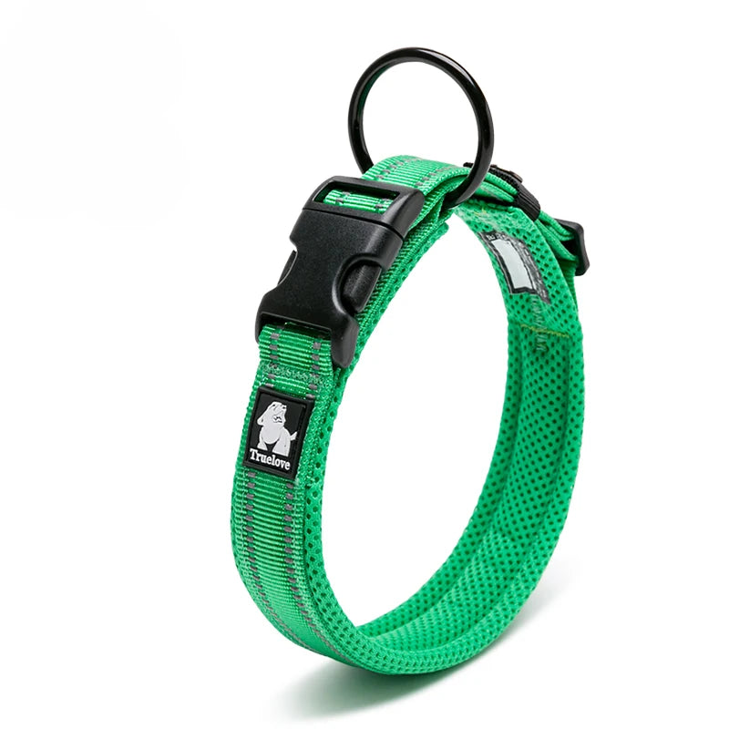 Discover everyday comfort, reliable control, and worry-free adventures with the padded nylon dog collar built to endure active canine lifestyles.