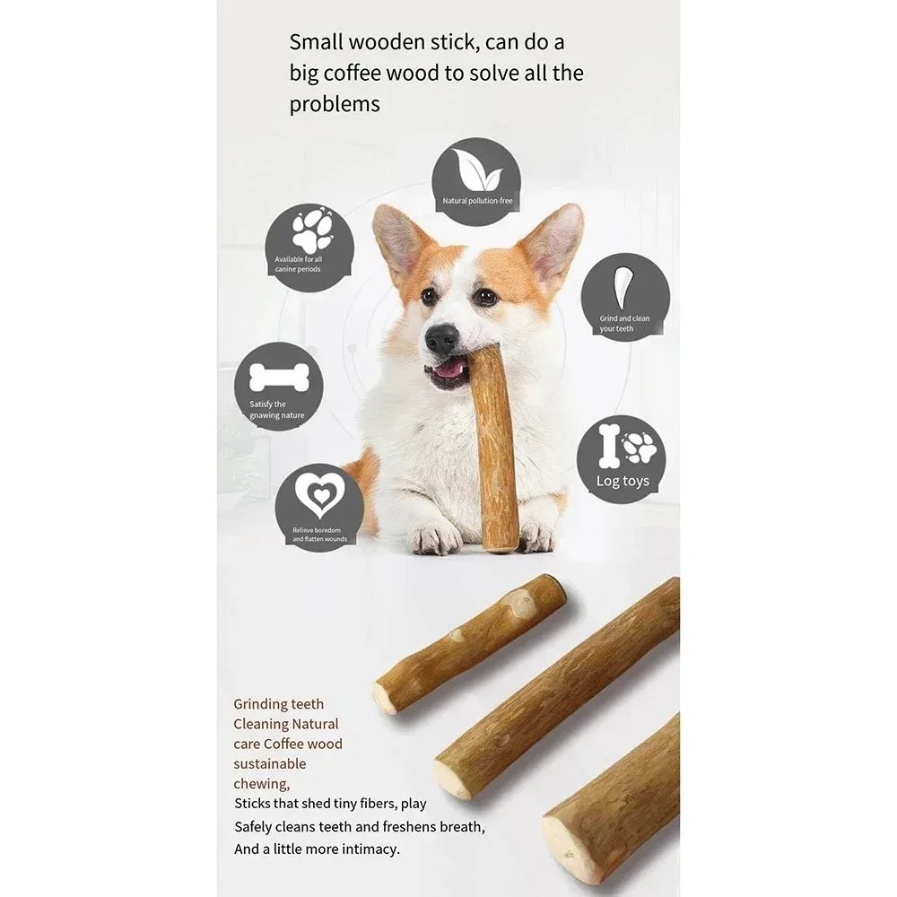 You deserve a natural, durable chew that keeps your dog calm, focused, and happy.