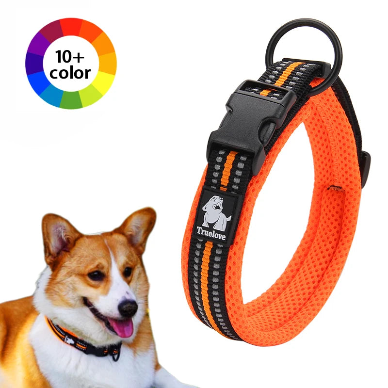 Discover everyday comfort, reliable control, and worry-free adventures with the padded nylon dog collar built to endure active canine lifestyles.