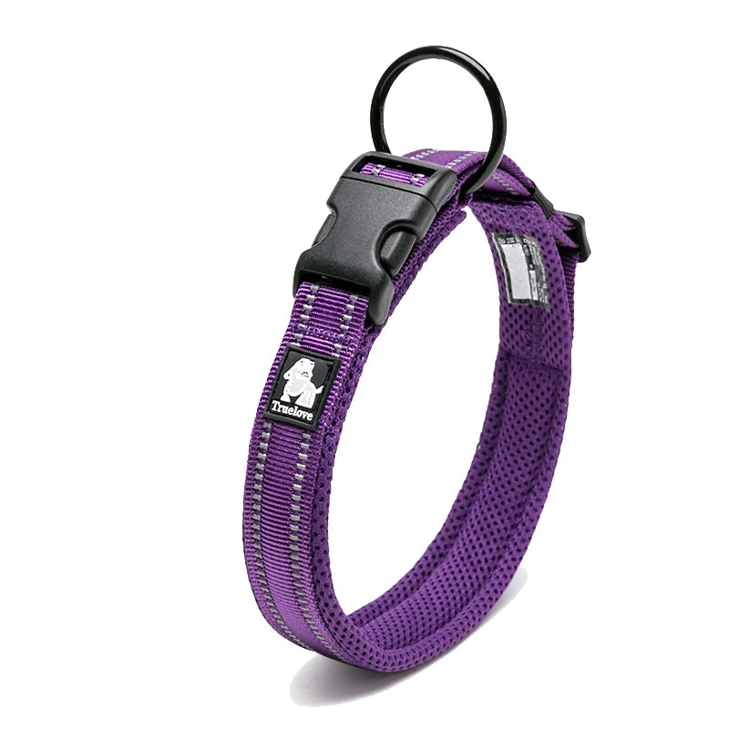 Discover everyday comfort, reliable control, and worry-free adventures with the padded nylon dog collar built to endure active canine lifestyles.