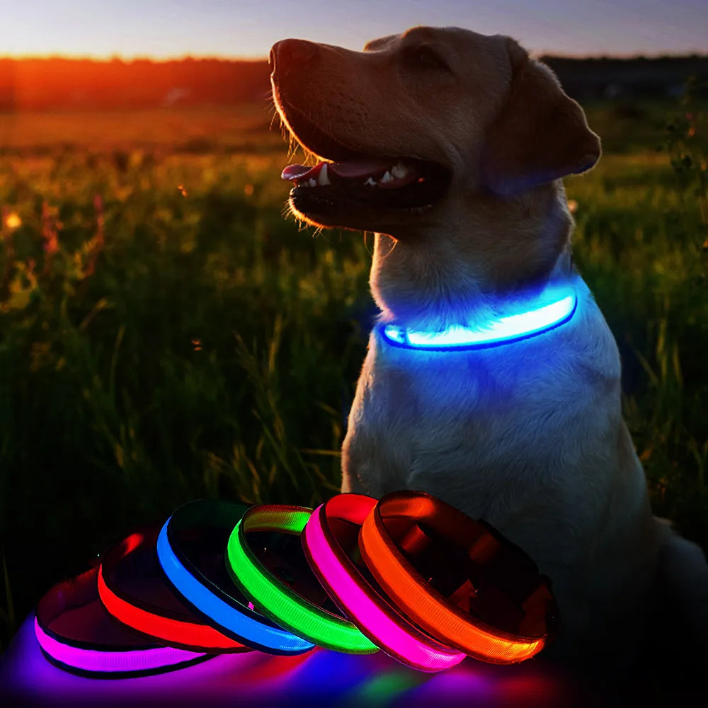 Light up every walk with the MASBRILL Luminous Dog Collar, a waterproof safety collar that keeps your dog highly visible and securely reassured in low light.