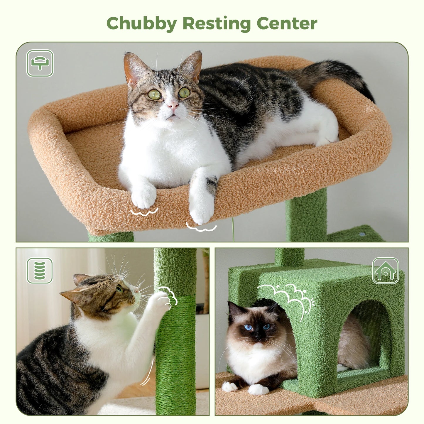 Give your large cat a towering playground with the PAWZ Road Cactus Cat Tree Tower designed for big climbers and fearless explorers.
