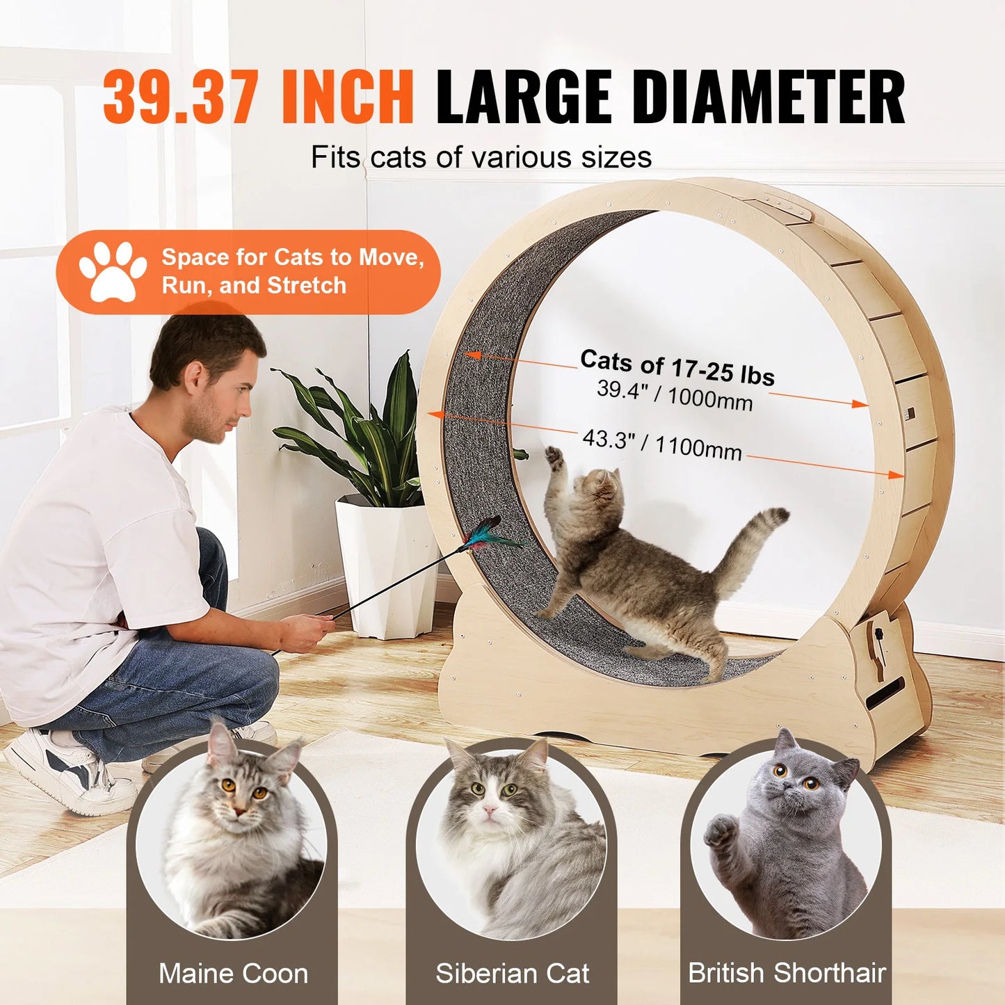Give your indoor cat a fun, safe cardio workout with this sturdy wooden exercise wheel designed for daily use.