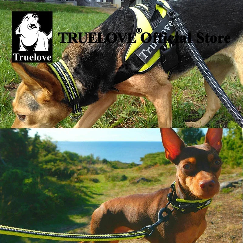 TrueLove Nylon Adjustable Padded Reflective Dog And Cat Collar TLC5011