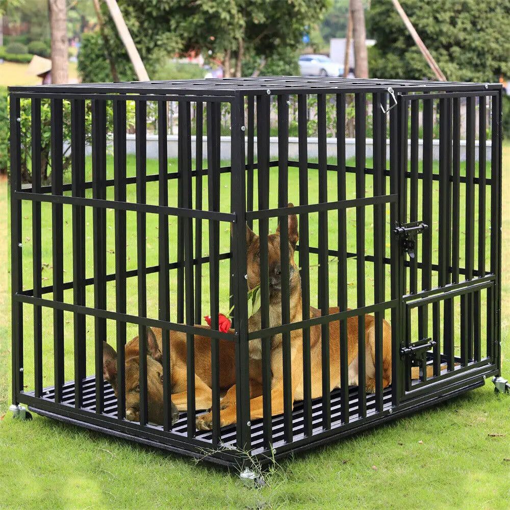 You get a secure, long-lasting space for your dog with the BINGOPAW Heavy Duty Dog Crate.