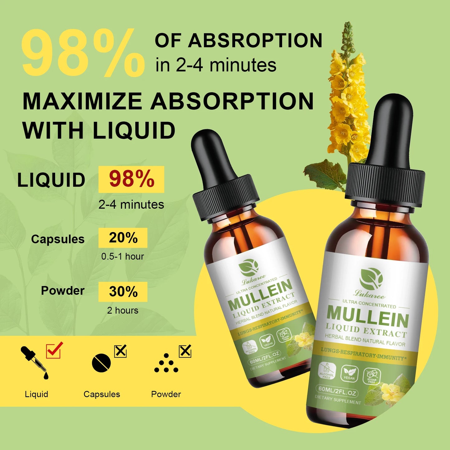 Mulittea Mullein Drops For Lung Support And Respiration