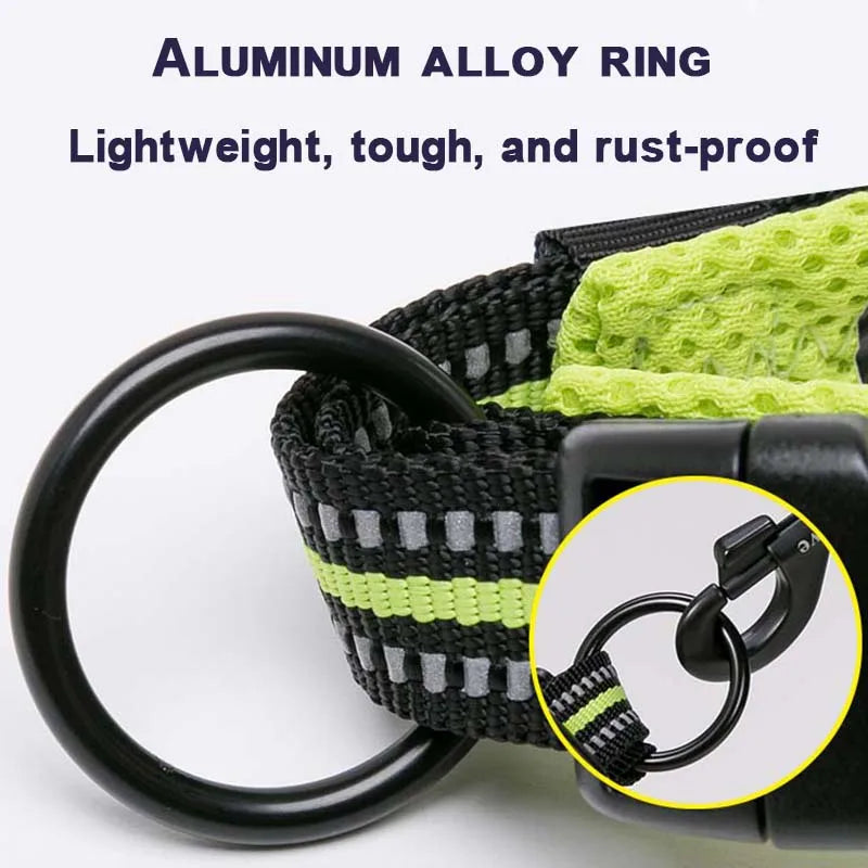 Discover everyday comfort, reliable control, and worry-free adventures with the padded nylon dog collar built to endure active canine lifestyles.