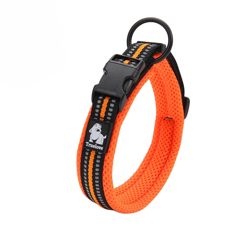 Discover everyday comfort, reliable control, and worry-free adventures with the padded nylon dog collar built to endure active canine lifestyles.