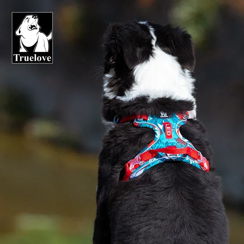 Experience unmatched security and comfort with the TRUELOVEB explosion-proof dog harness, designed for rugged adventures and everyday walks.