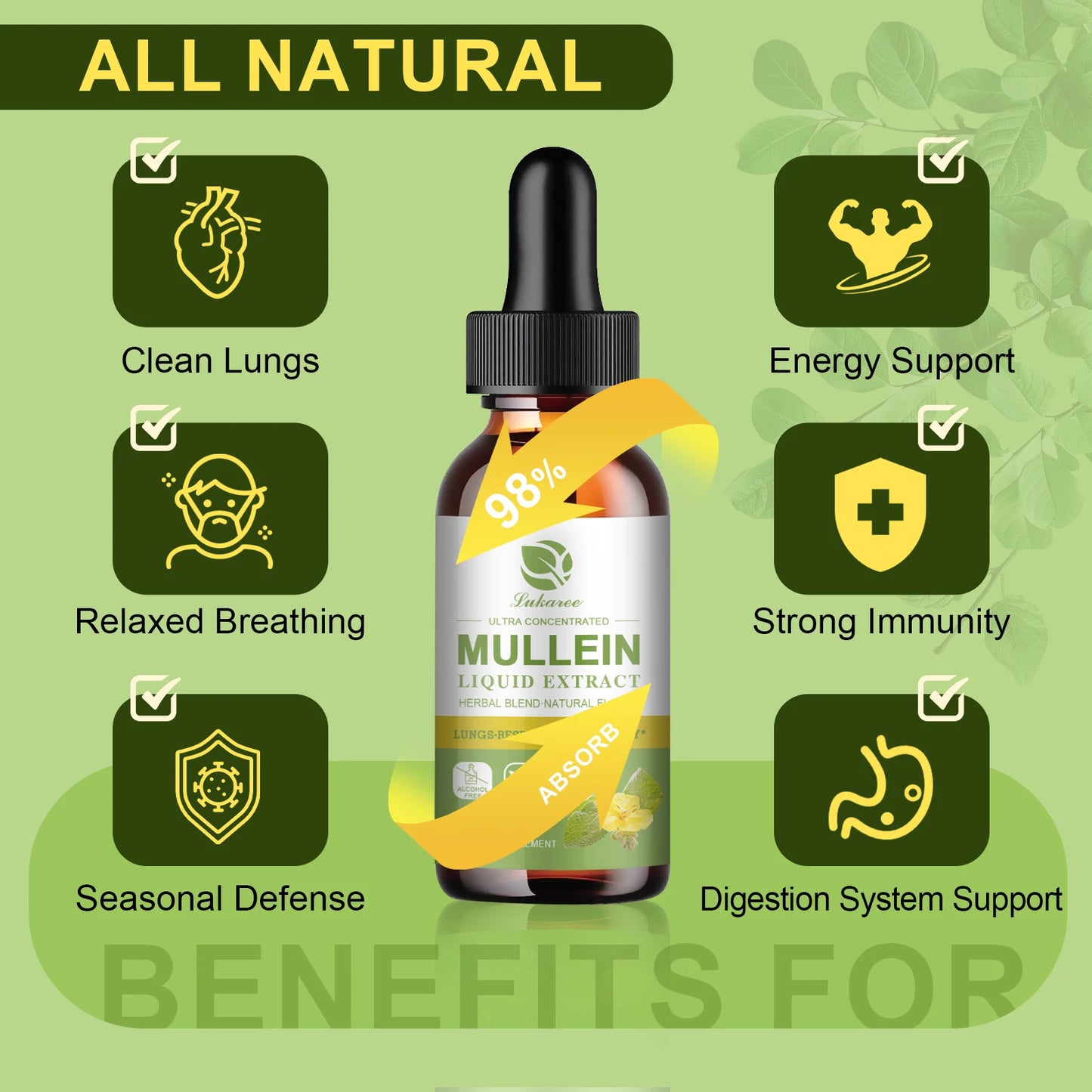 Mulittea Mullein Drops For Lung Support And Respiration