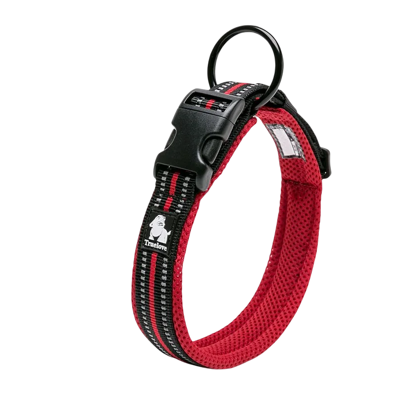 Discover everyday comfort, reliable control, and worry-free adventures with the padded nylon dog collar built to endure active canine lifestyles.