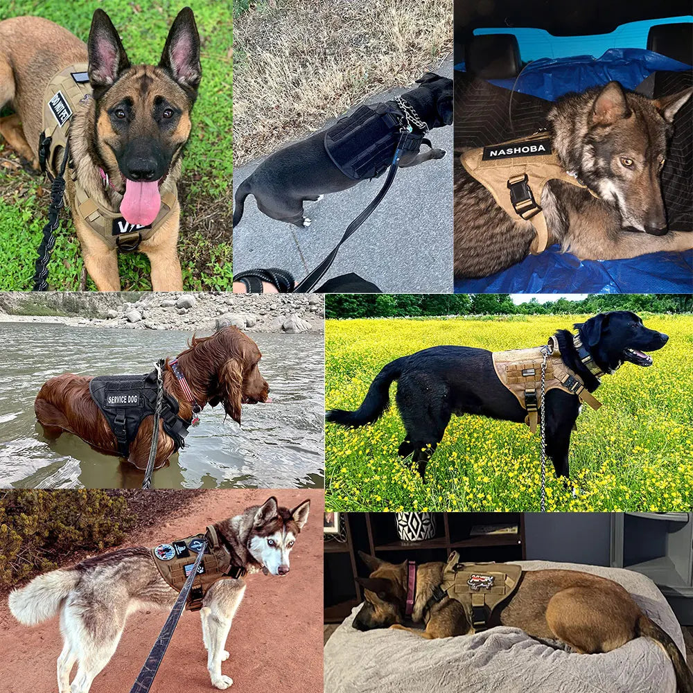Equip your canine for focused training with the PETRAVELCN Military Large Dog Harness Vest Set.