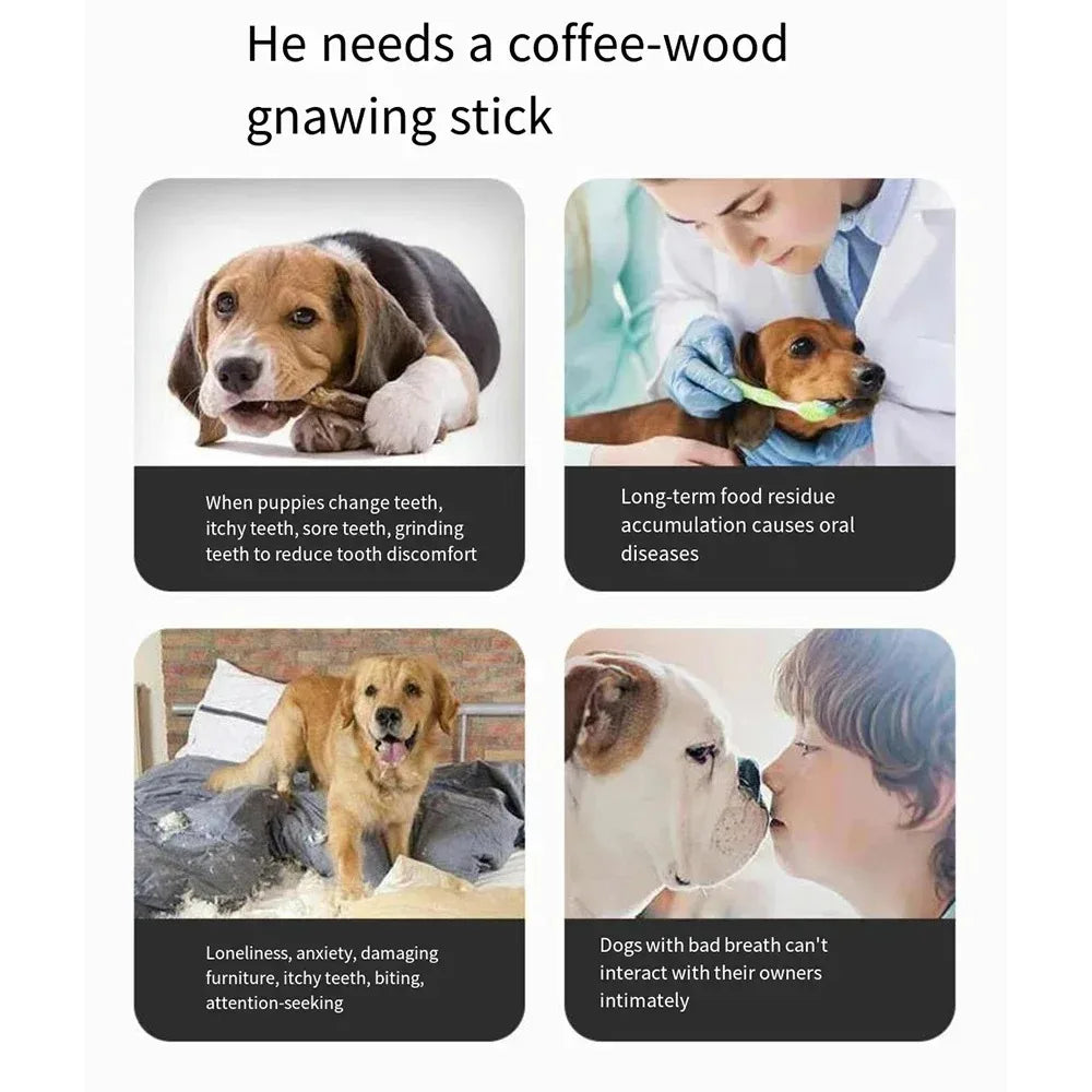 You deserve a natural, durable chew that keeps your dog calm, focused, and happy.