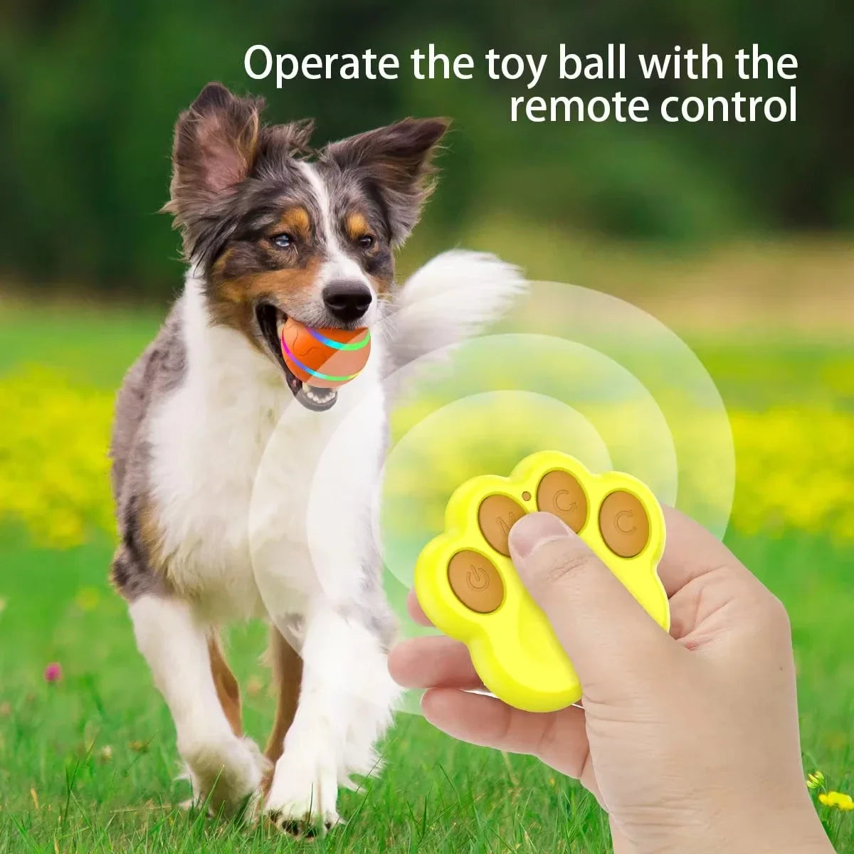 MeowMeows Active Rolling Ball For Dogs USB Rechargeable 2Point2Inch Toy