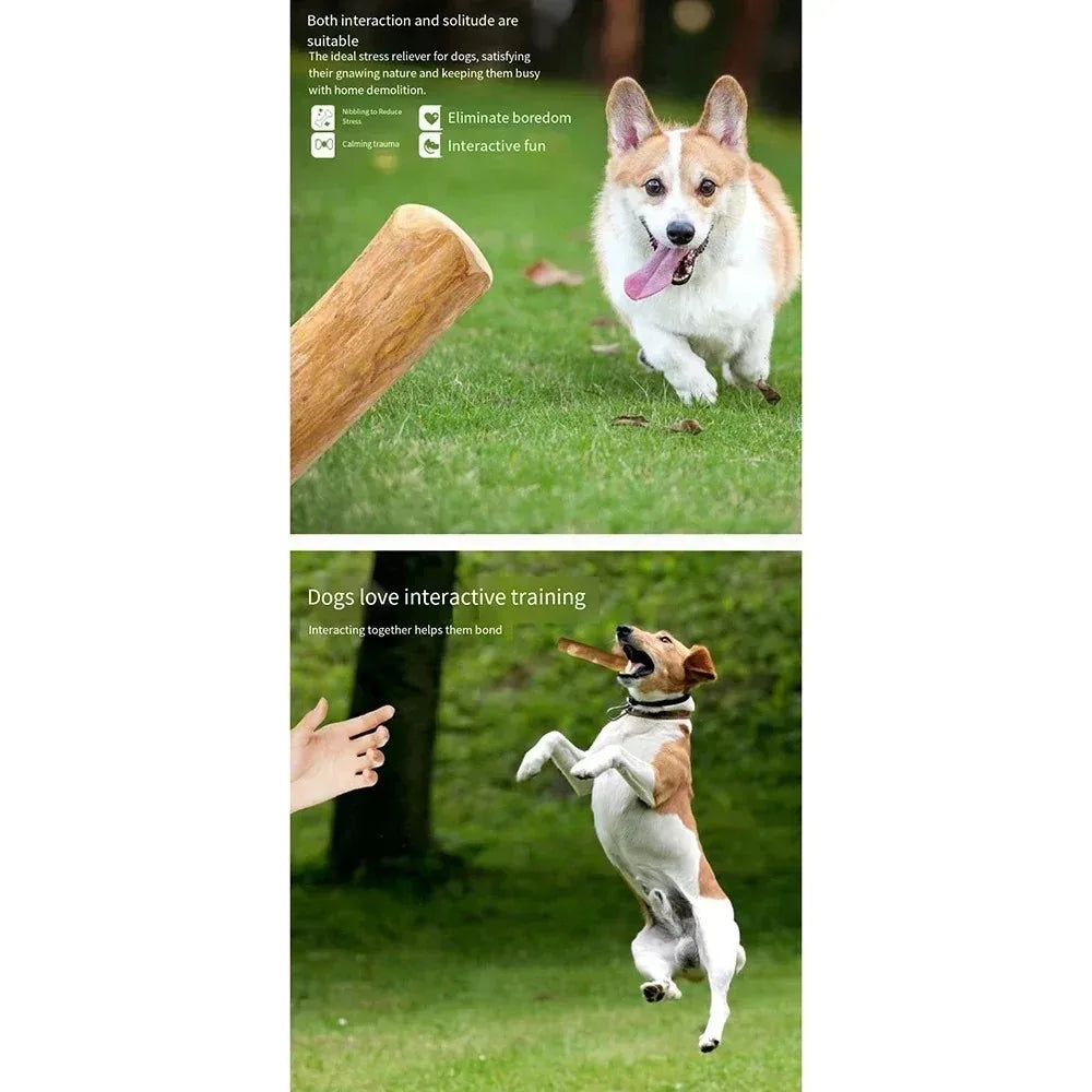 You deserve a natural, durable chew that keeps your dog calm, focused, and happy.
